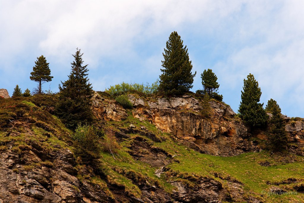 20090612_099_raw